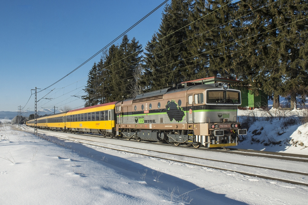 750 096 Strba (2019.01.21).