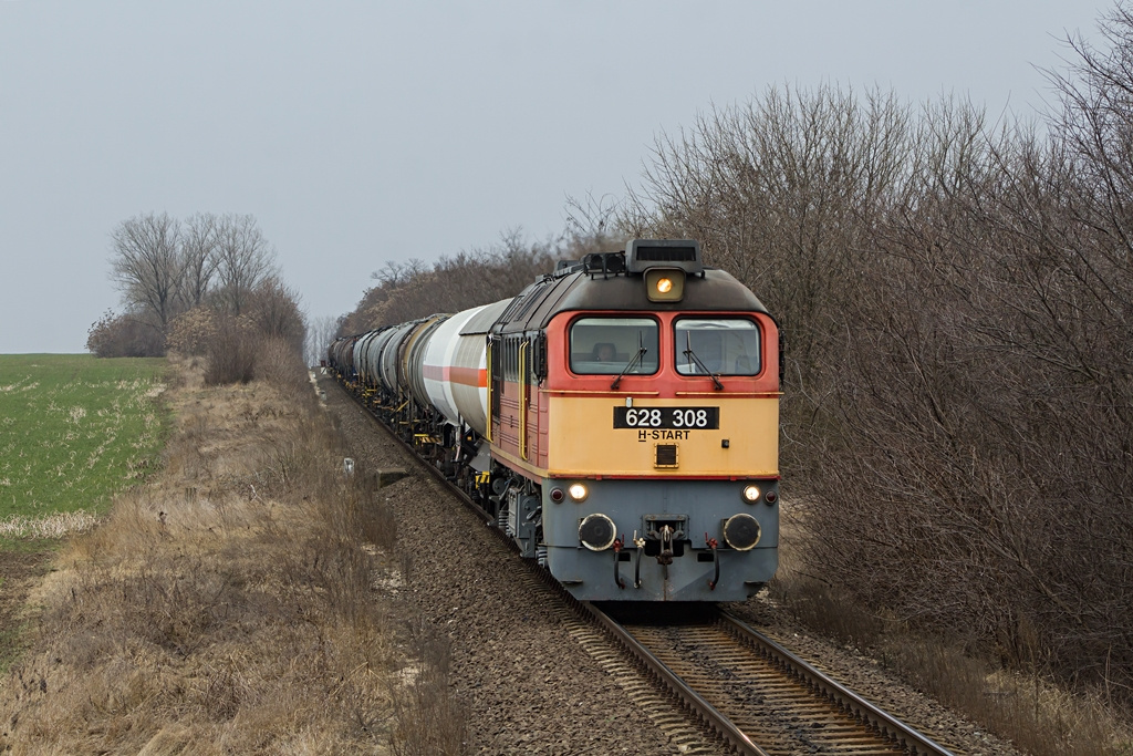 628 308 Pusztaszabolcs (2019.03.02)