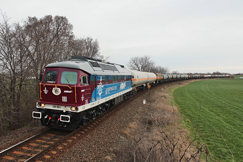 232 453 Pusztaszabolcs (2019.03.13).02