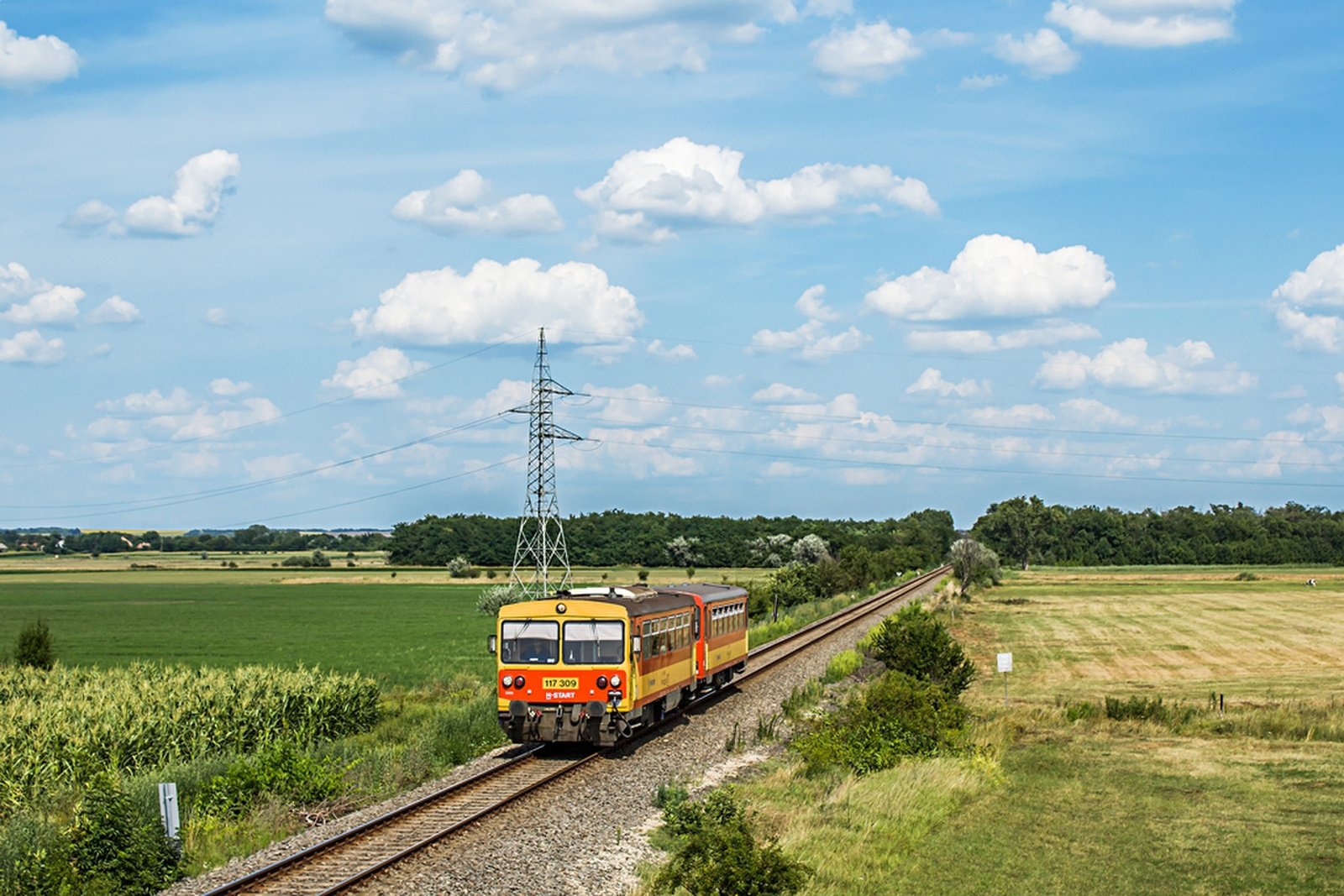 117 309 Rétszilas (2019.07.22).02