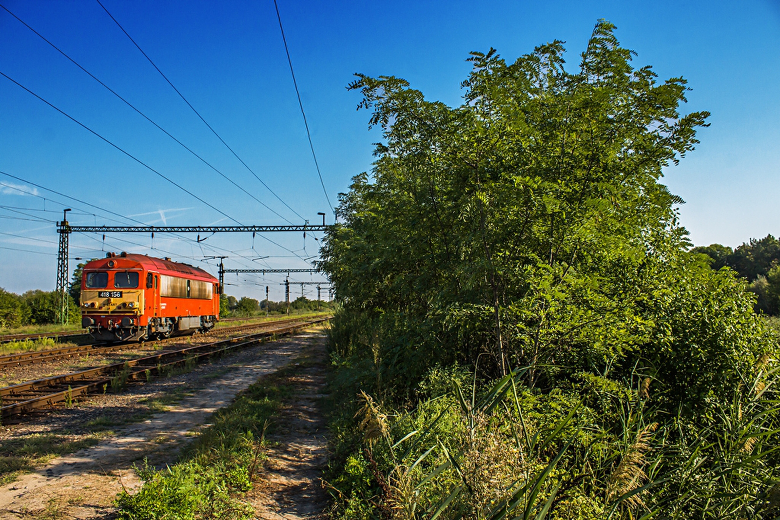 418 156 Rétszilas (2019.08.20).