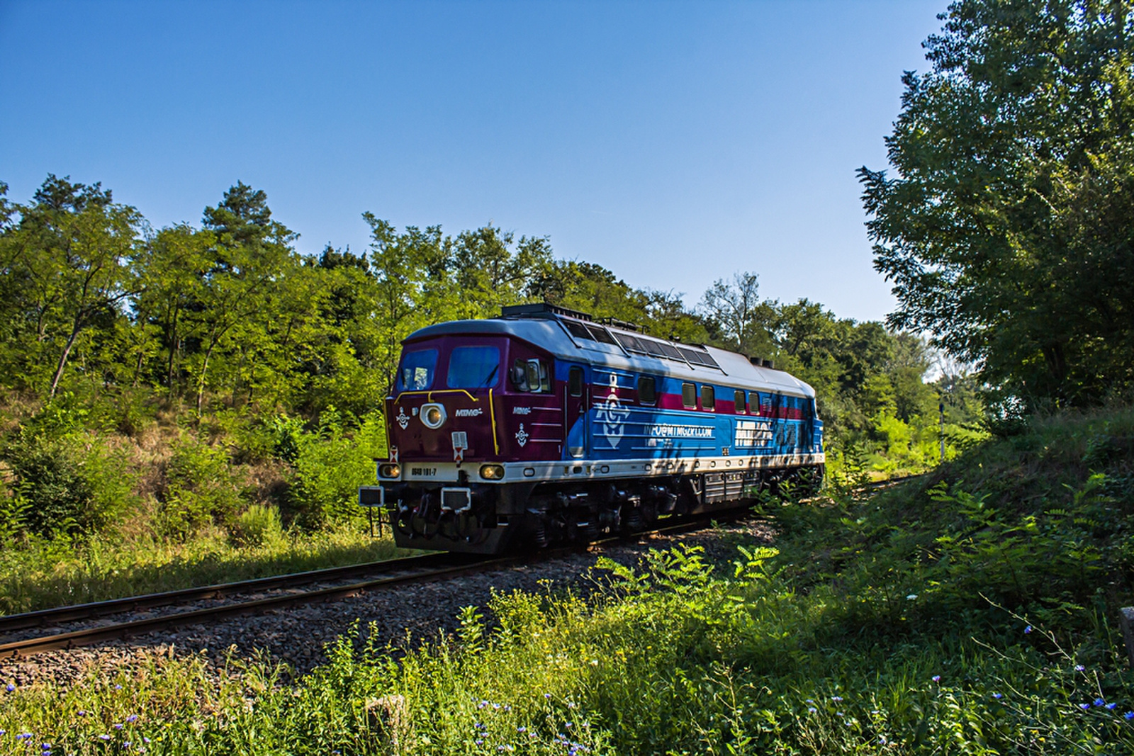 648 101 Rétszilas (2019.08.20).01