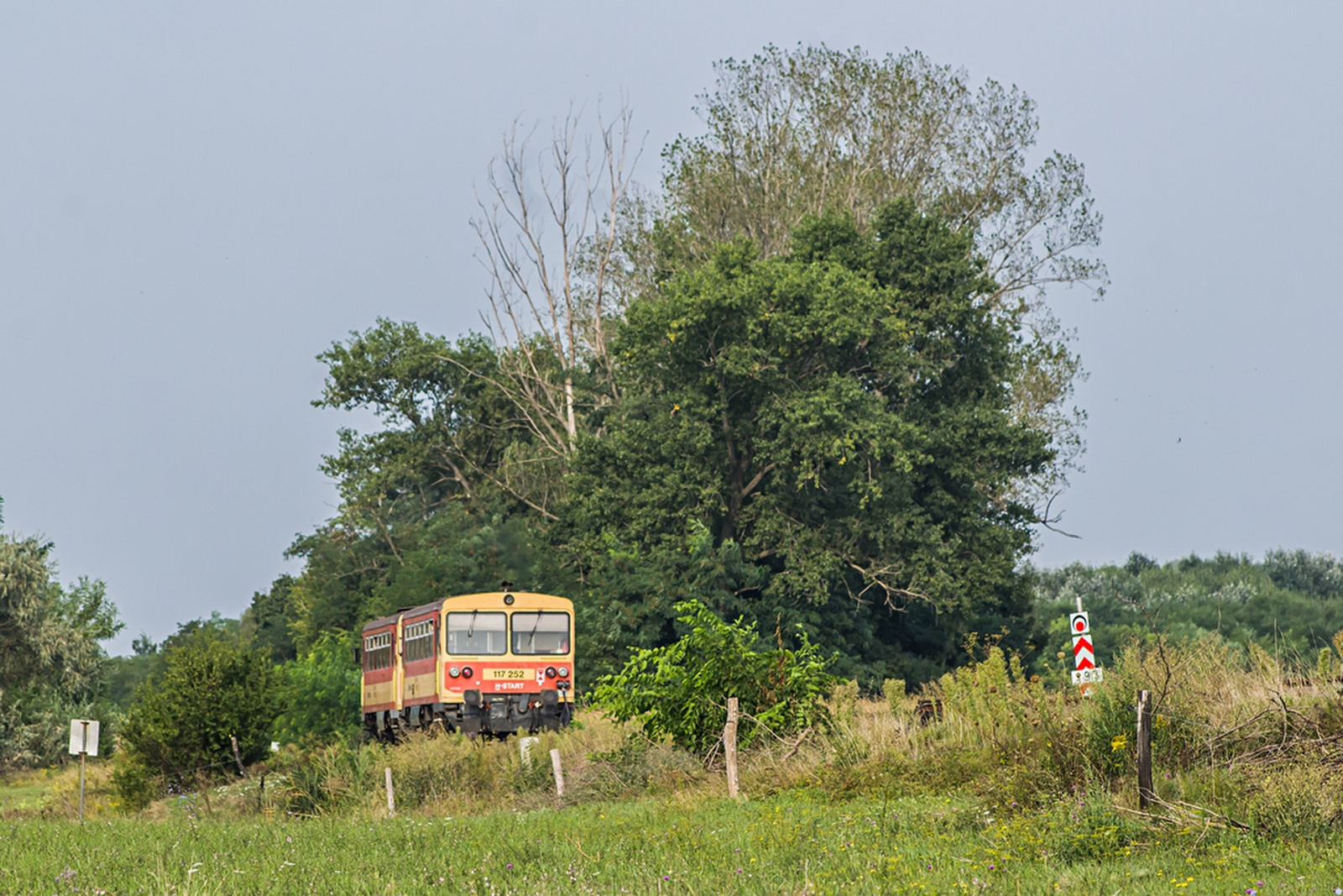 117 252+191 Rétszilas (2019.08.23).