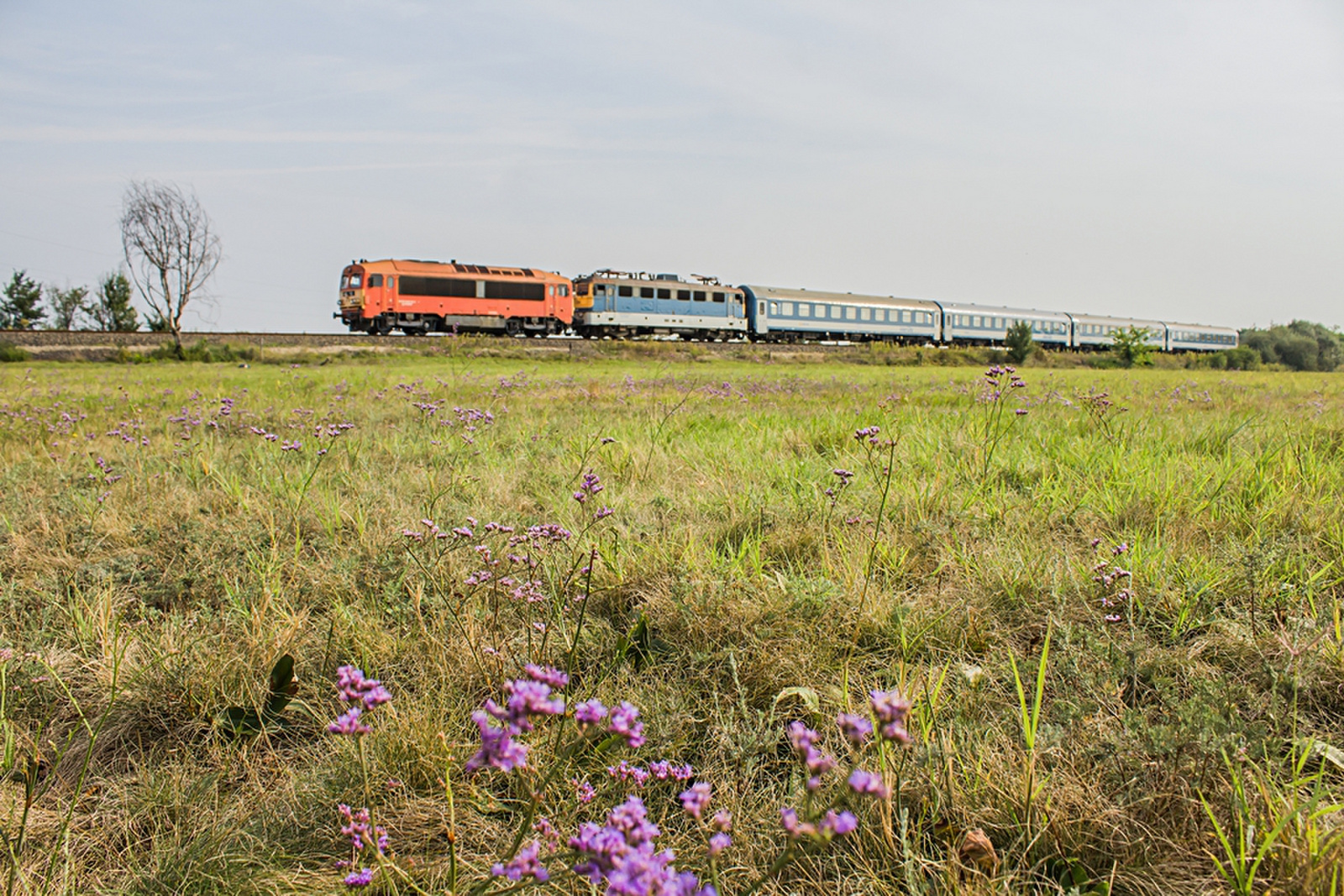 418 112+433 224 Rétszilas (2019.08.23).