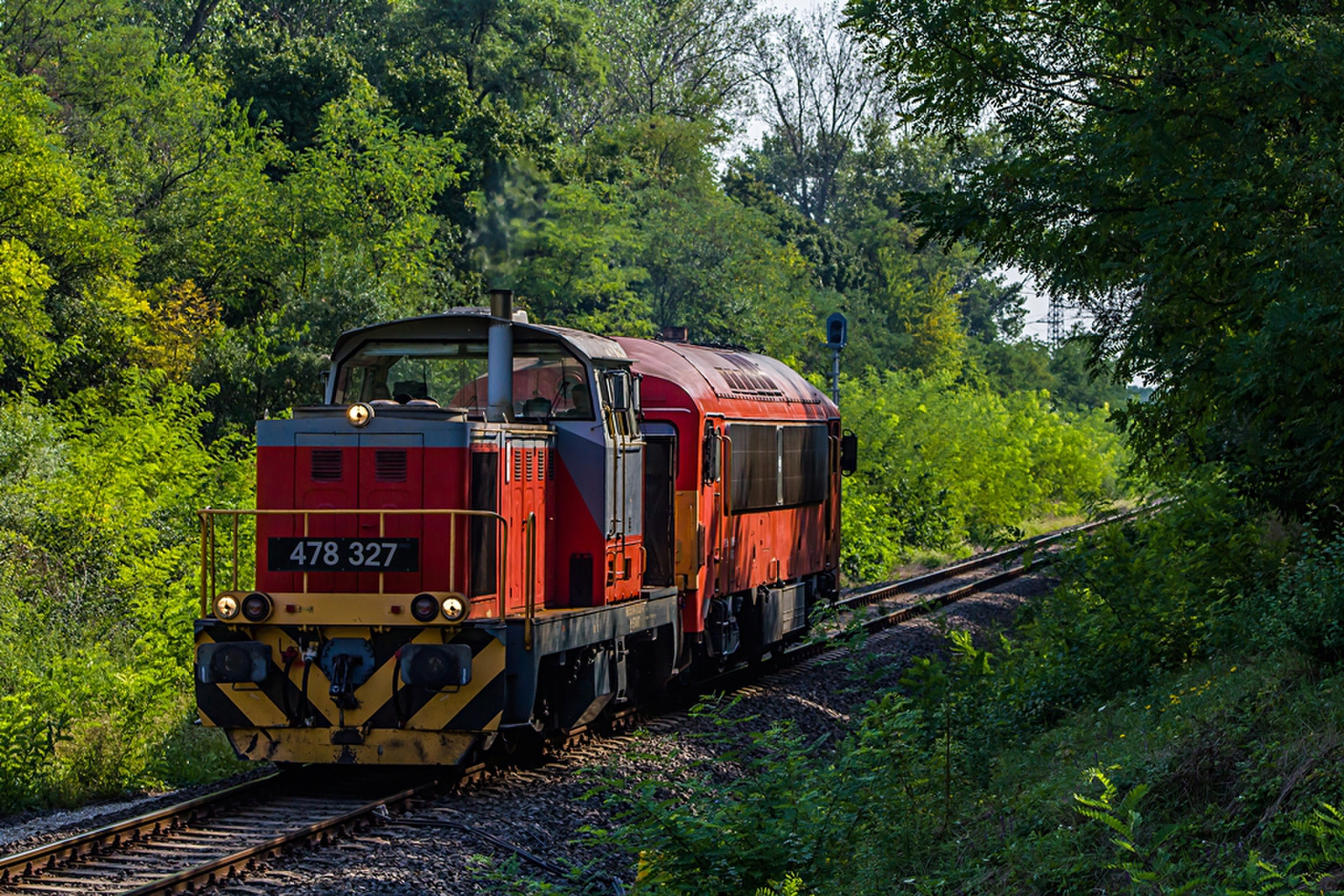 478 327+418 156 Rétszilas (2019.08.23).