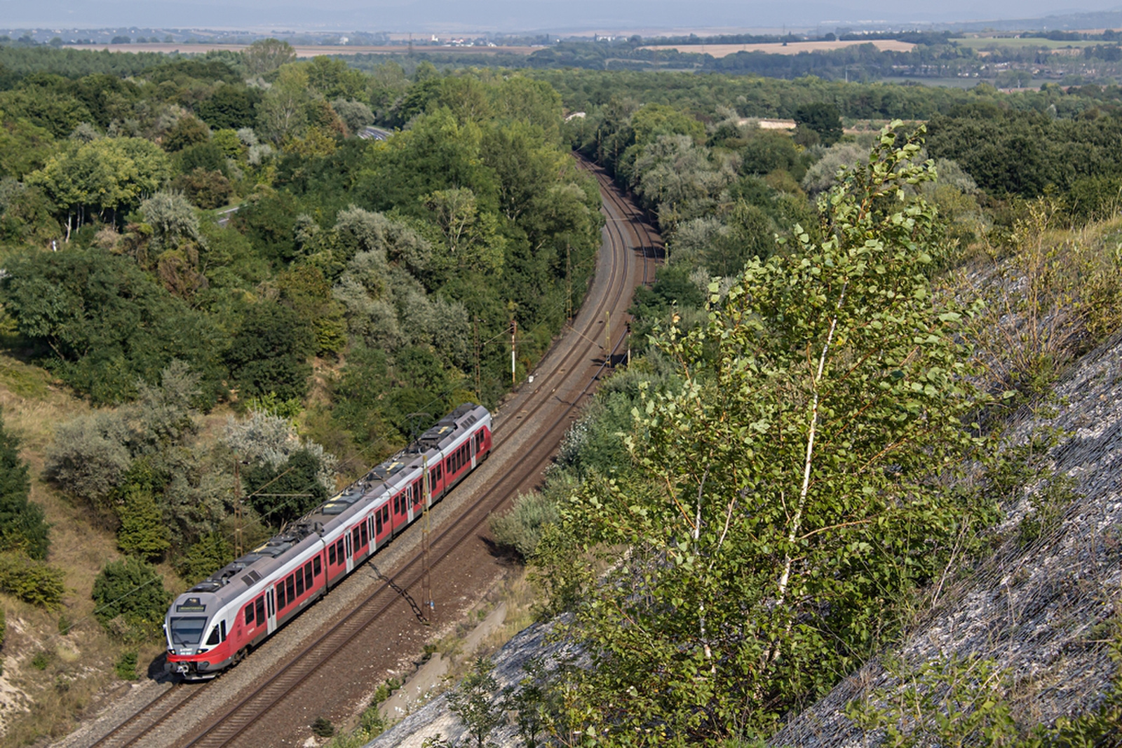 415 057 Szár (2019.08.30).02