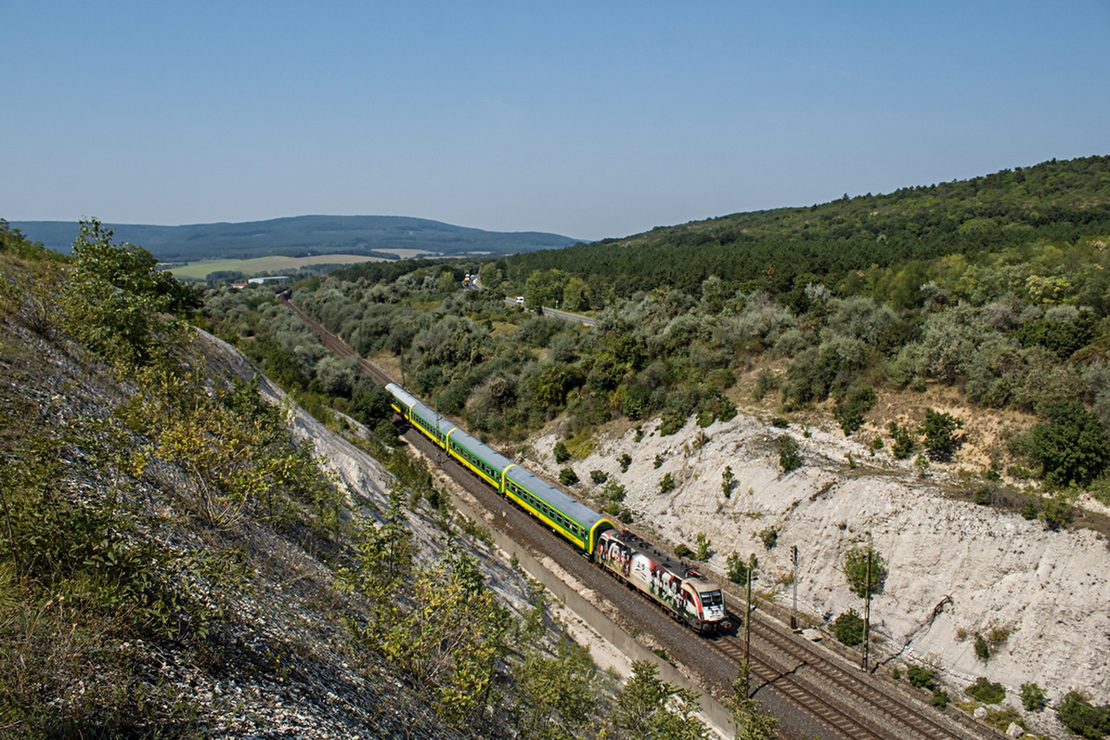 470 003 Szár (2019.08.30).01