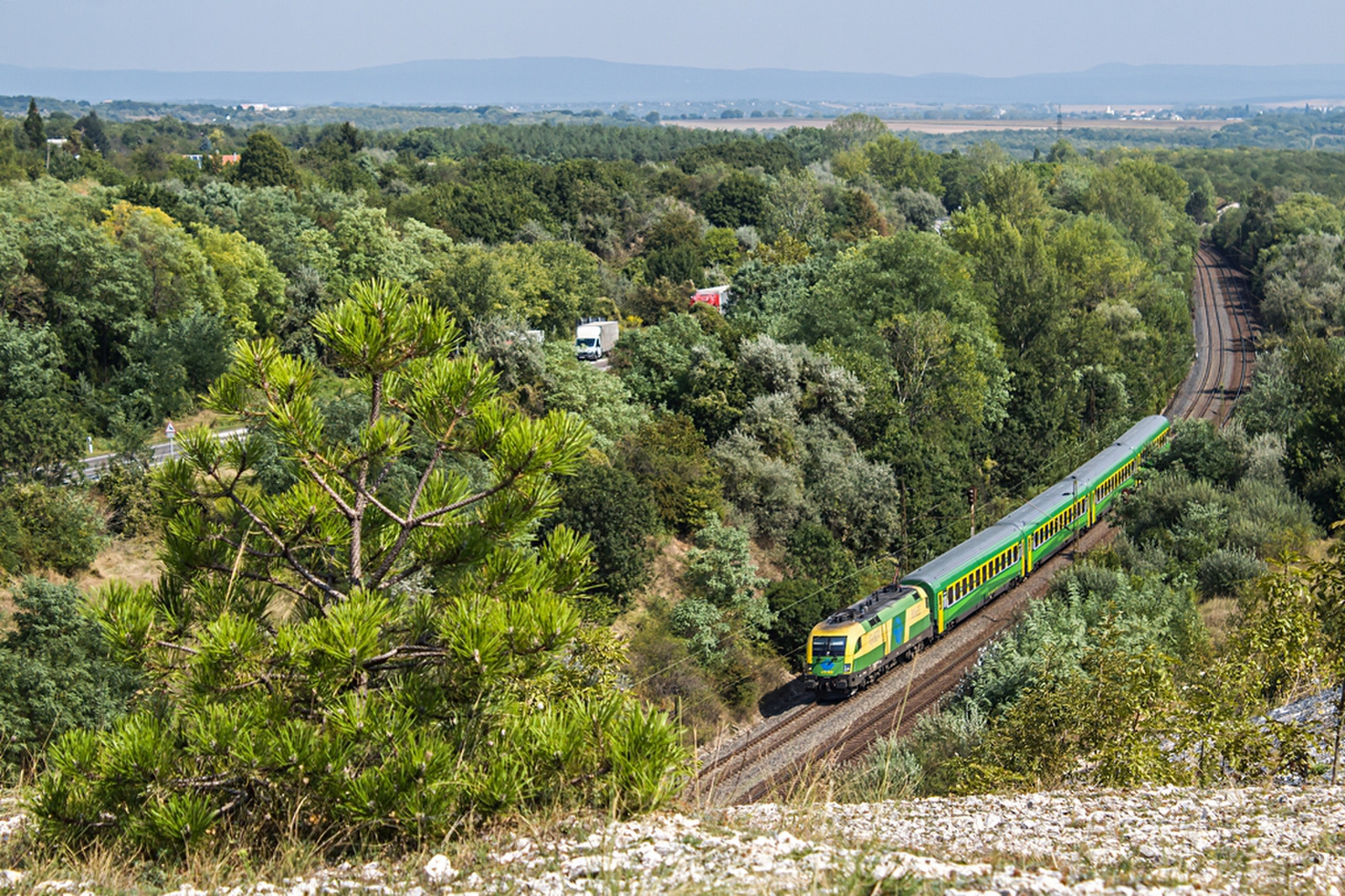 470 502 Szár (2019.08.30).