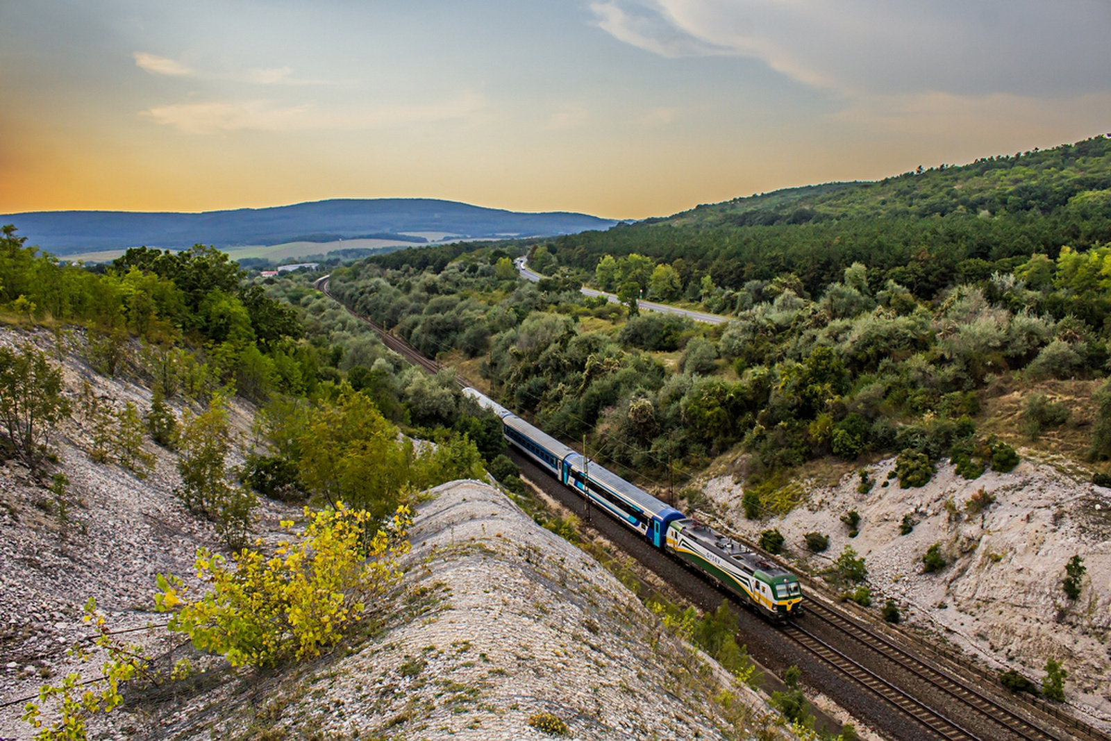 471 004 Szár (2019.08.30).02