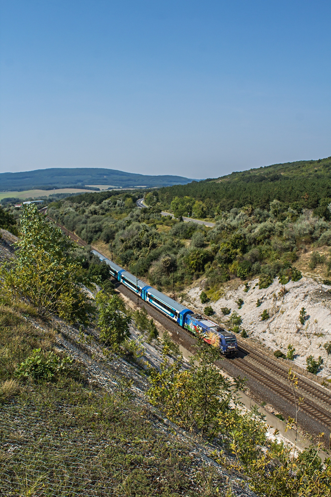 480 006 Szár (2019.08.30).01