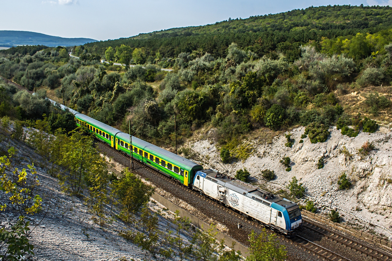 480 022 Szár (2019.08.30).