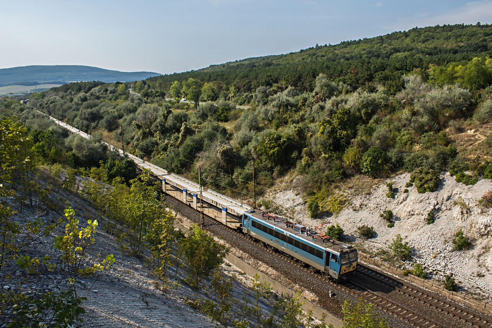 630 152 Szár (2019.08.30).