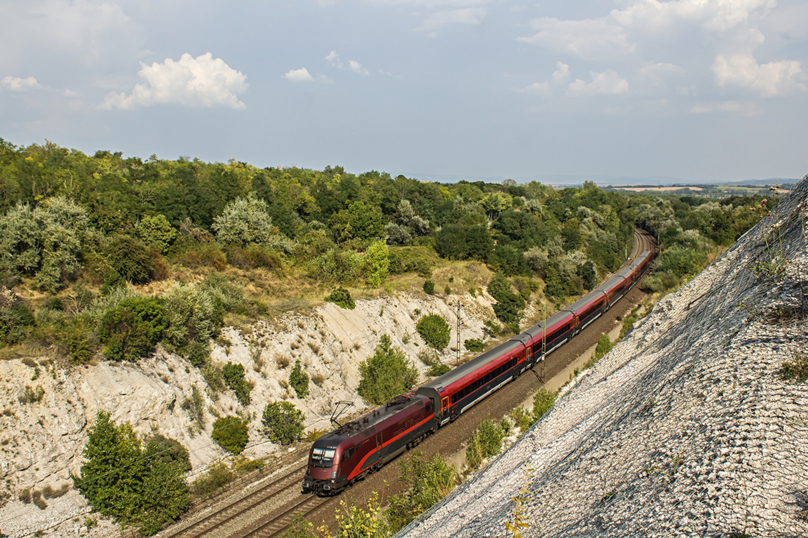 1116 201 Szár (2019.08.30).