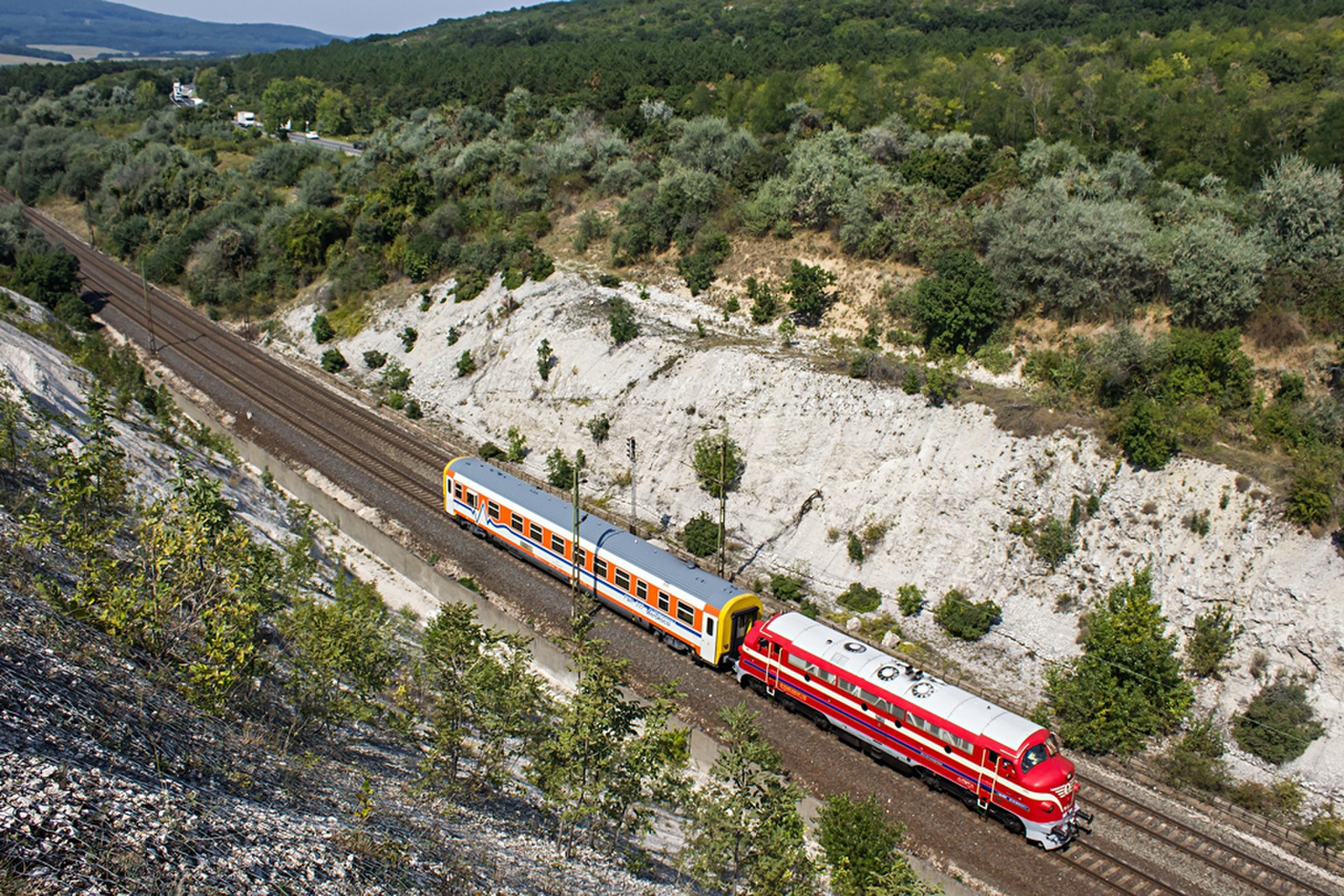 M61 - 017 Szár (2019.08.30).