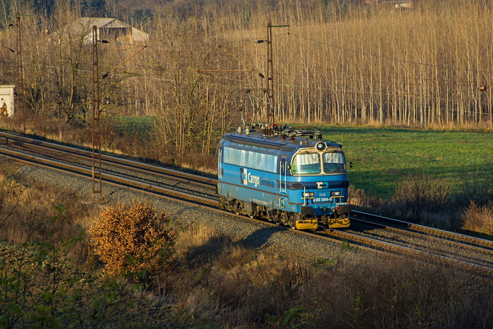 230 084 Szárliget (2019.11.25)