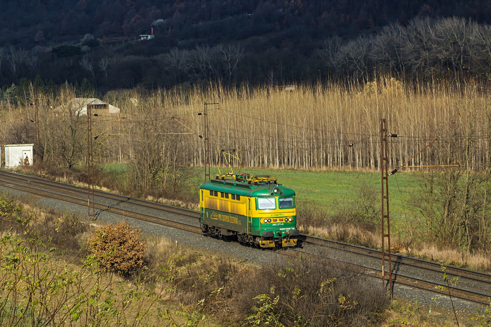 242 271 Szárliget (2019.11.25)