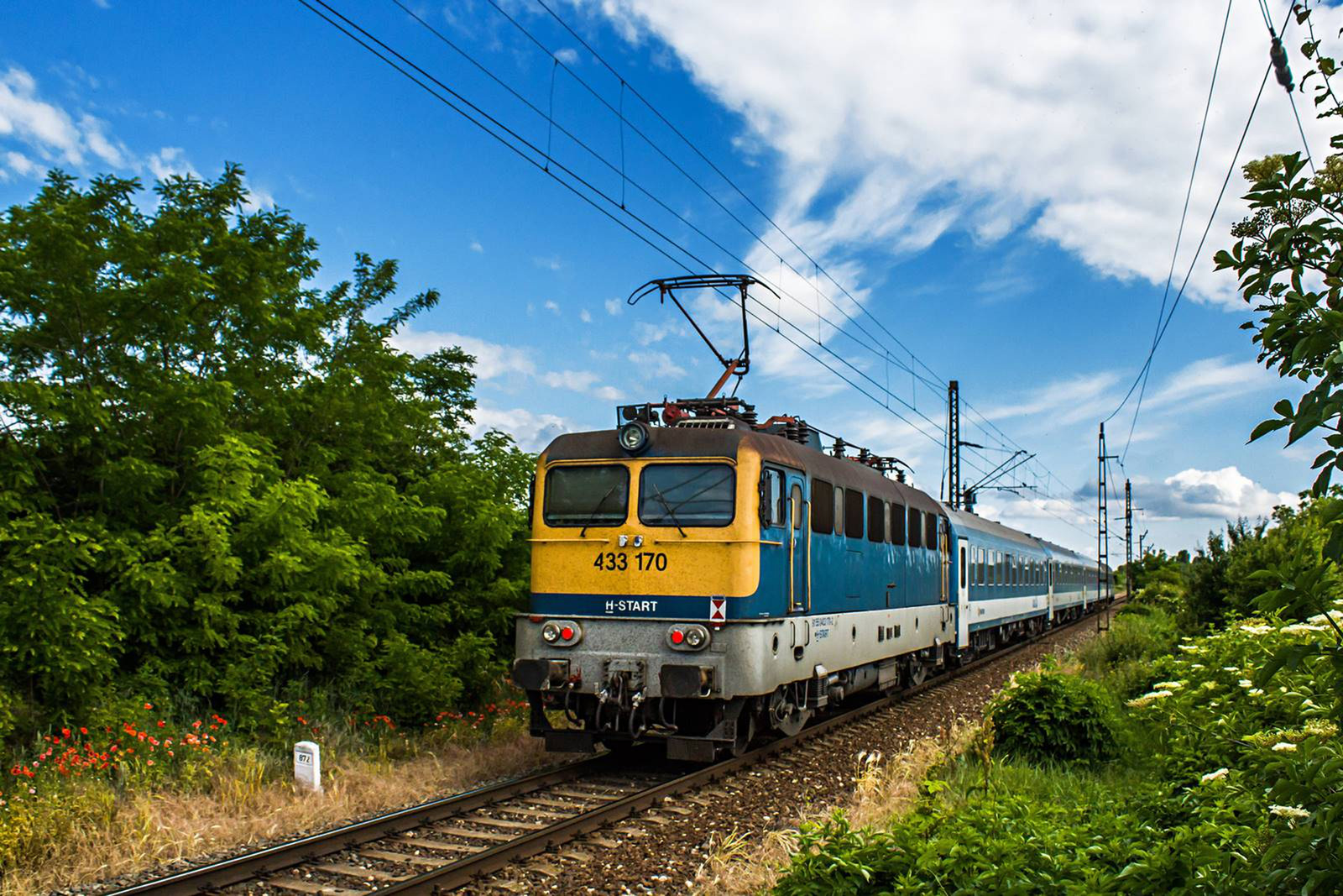 433 170 Rétszilas (2020.06.03).