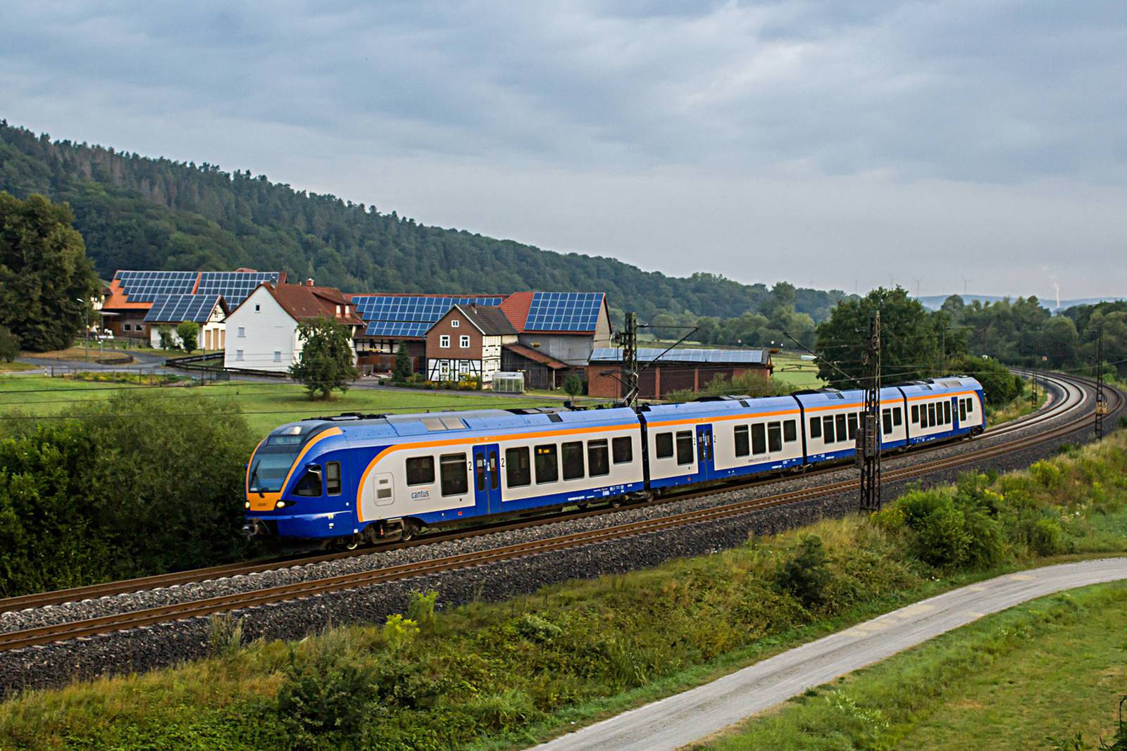 428 631 Hermannspiegel (2020.08.03)