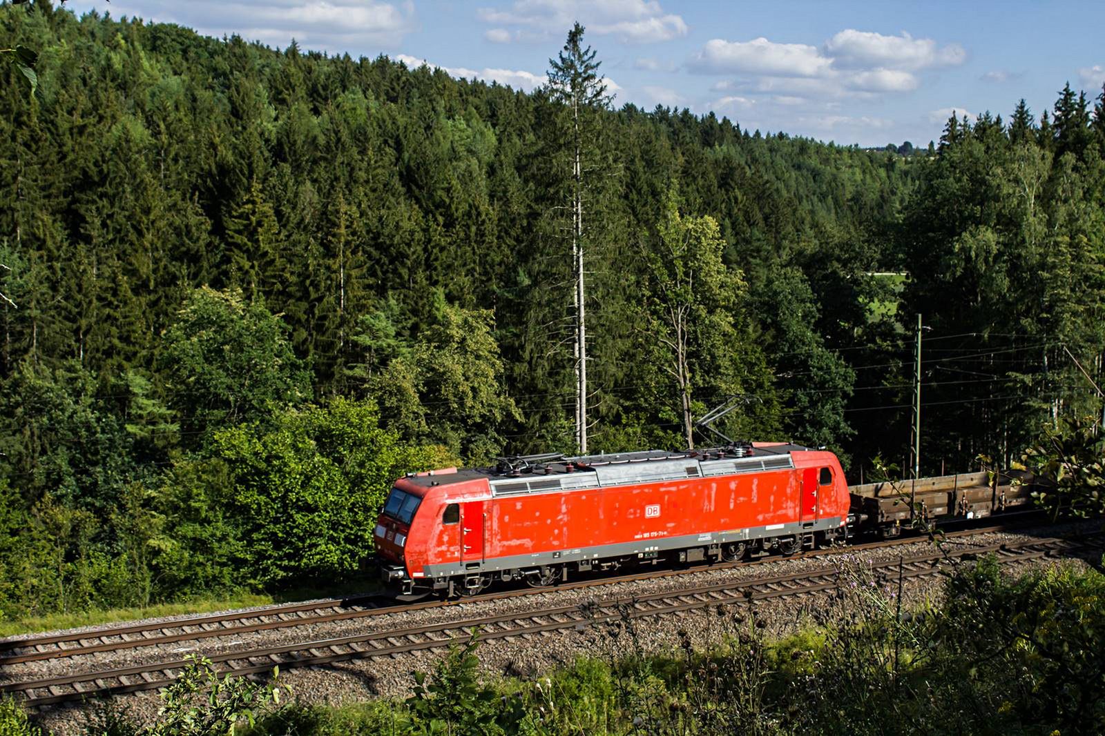 185 175 Gundelsheim (2020.08.05).