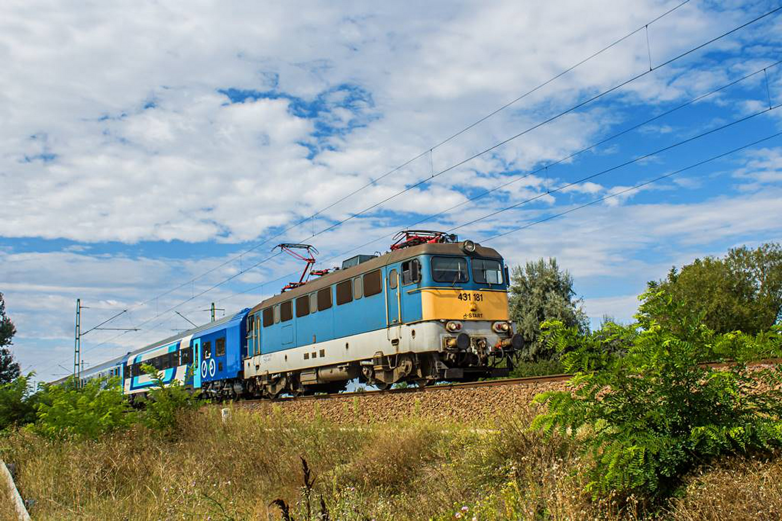 431 181 Tárnok (2020.08.24).01