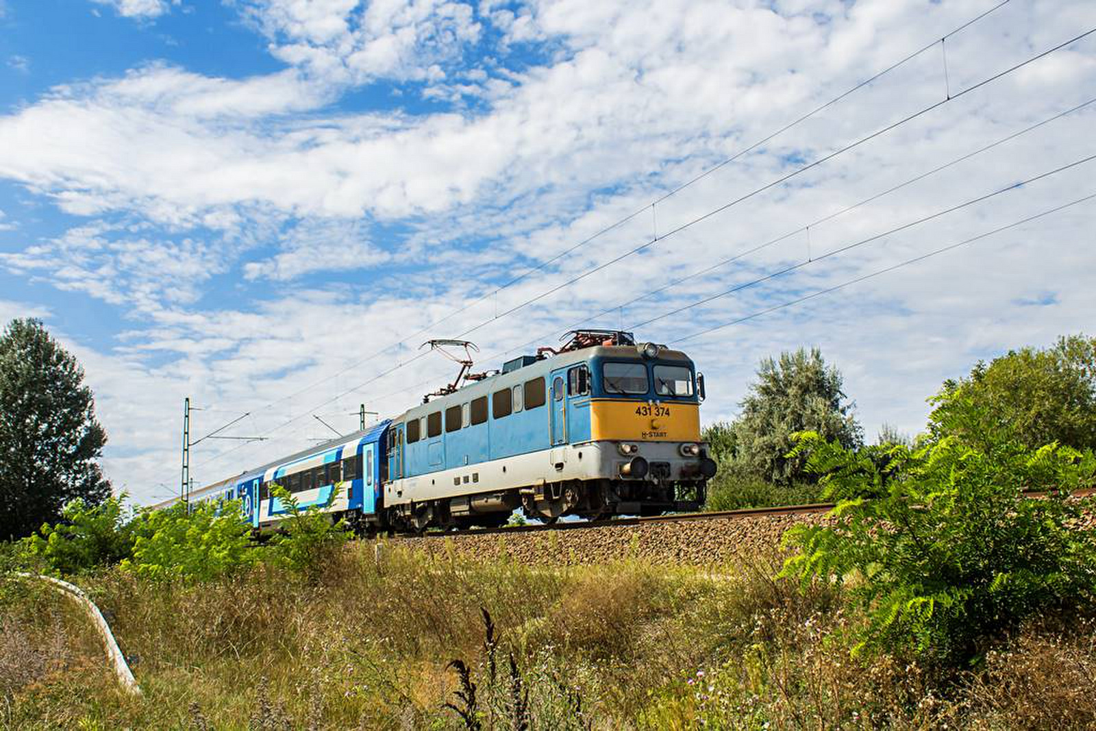 431 374 Tárnok (2020.08.24).