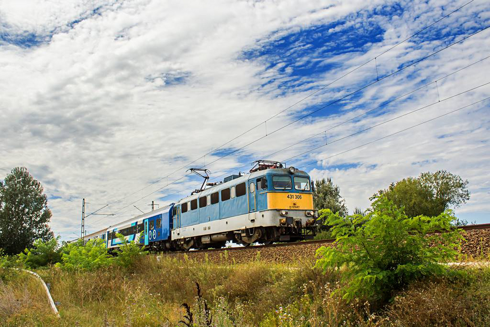 431 306 Tárnok (2020.08.24).