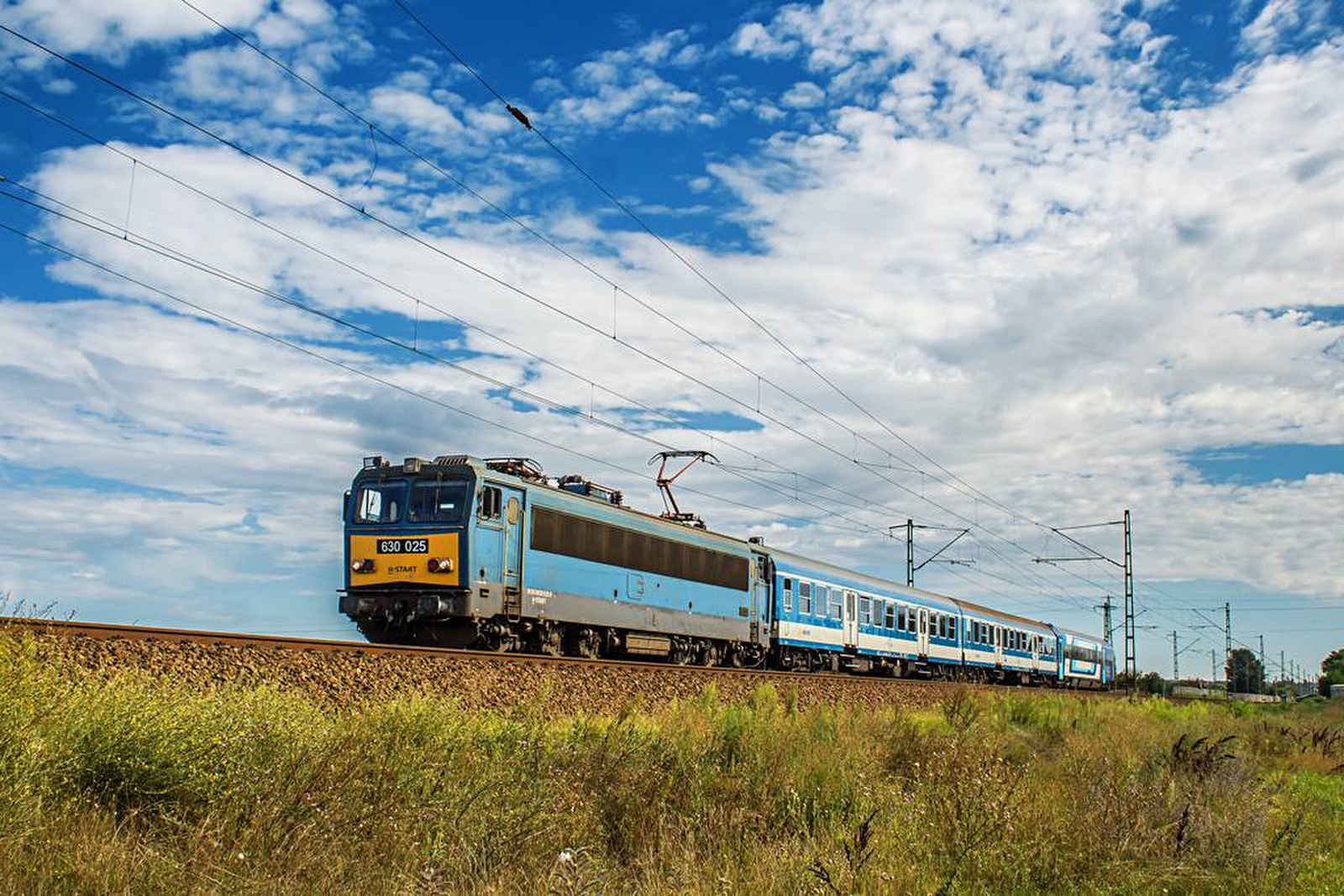 630 025 Tárnok (2020.08.24).