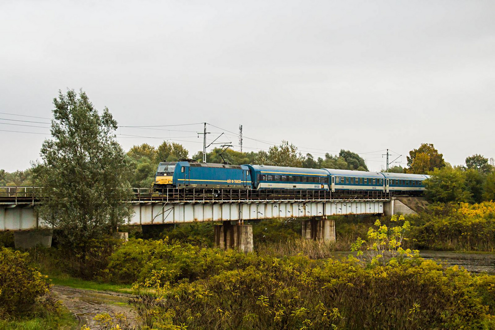 480 019 Rakamaz (2020.10.26).