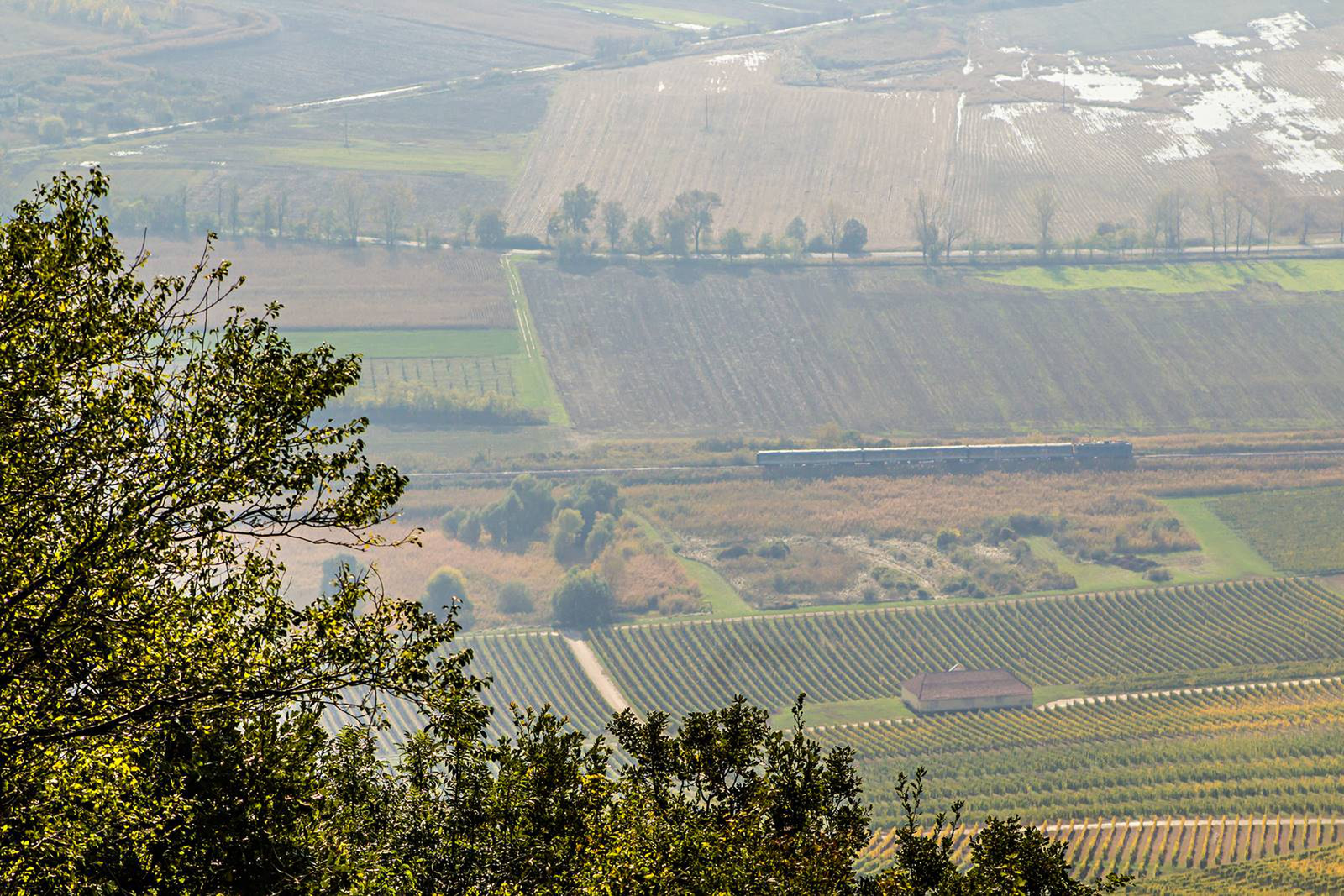 431 015 Tokaj (2020.10.27).