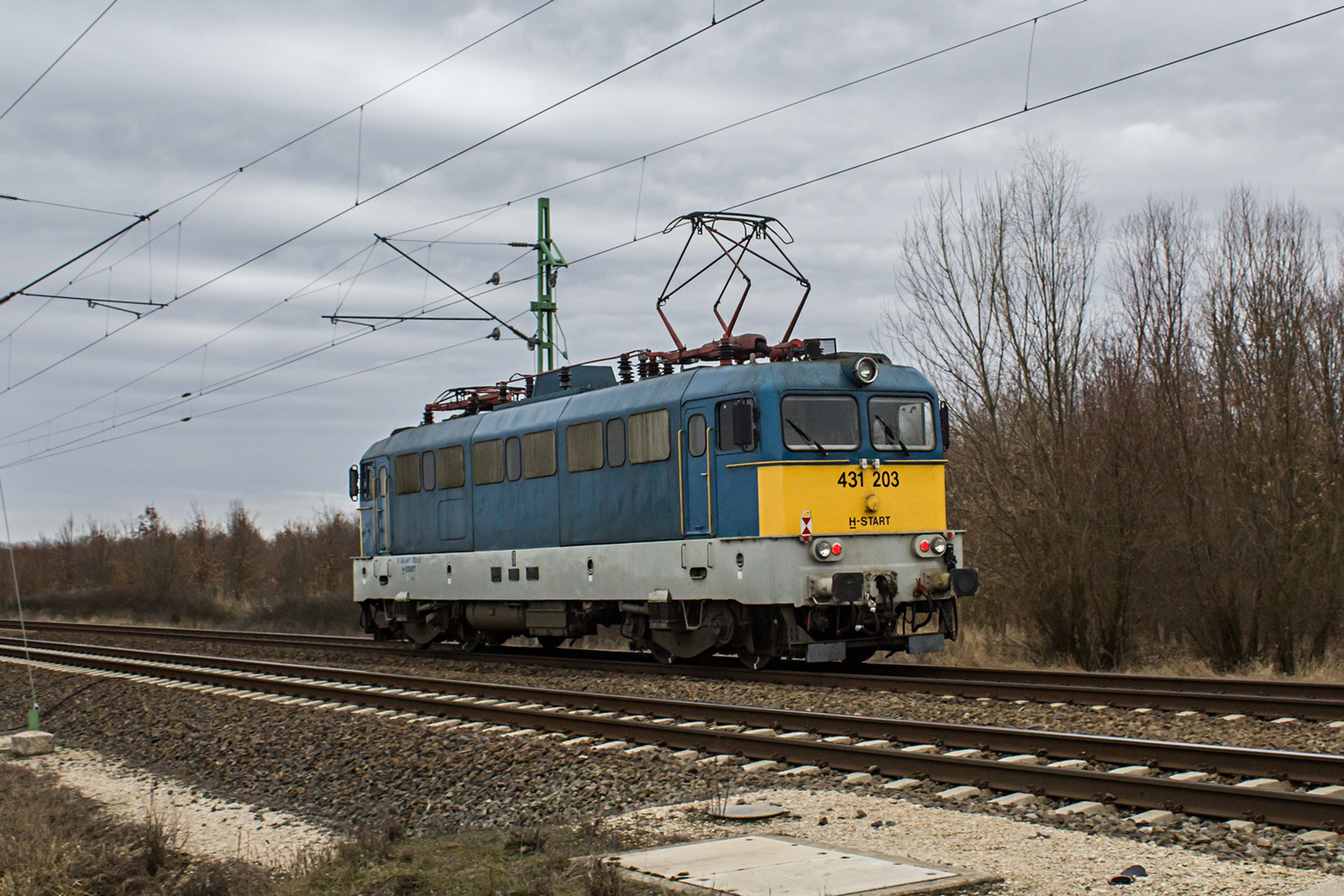 431 203 Murony (2022.02.19).02