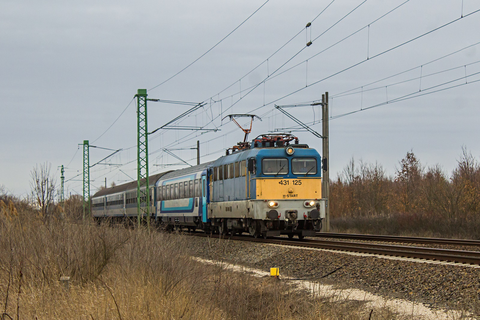 431 125 Murony (2022.02.19).