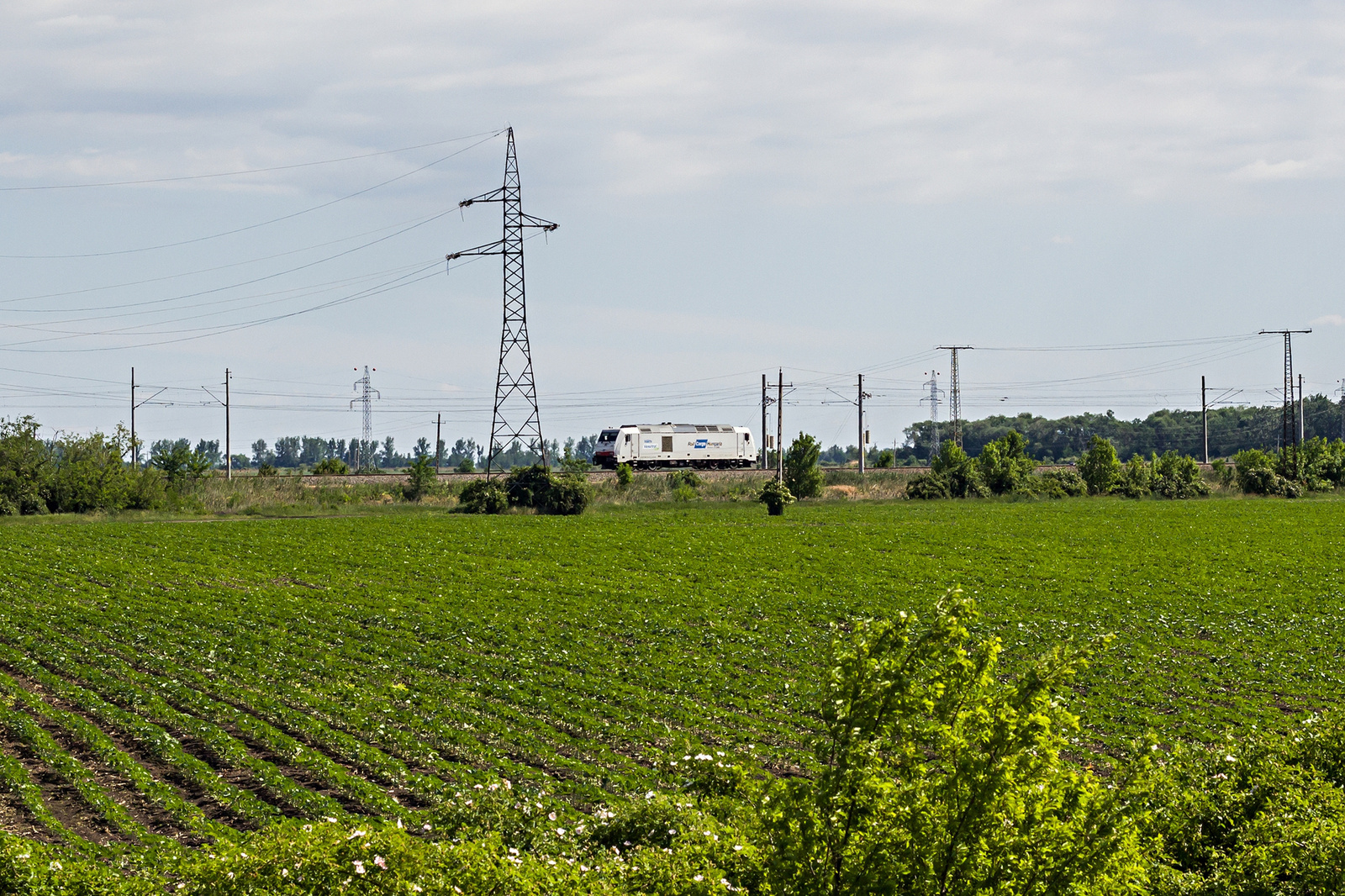 285 103 Püspökladány (2022.05.27).01