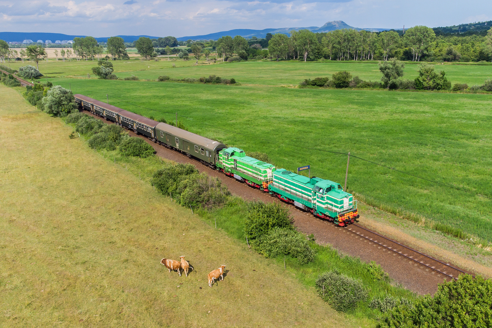 M40 219+114 Raposka (2022.07.13).