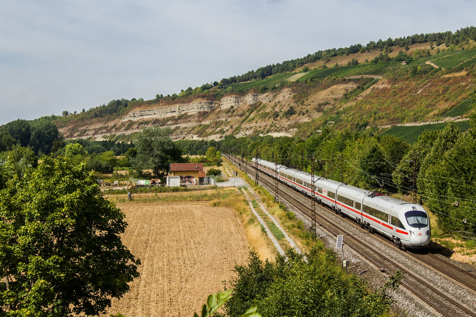 411 xxx Thüngersheim (2022.08.02).02