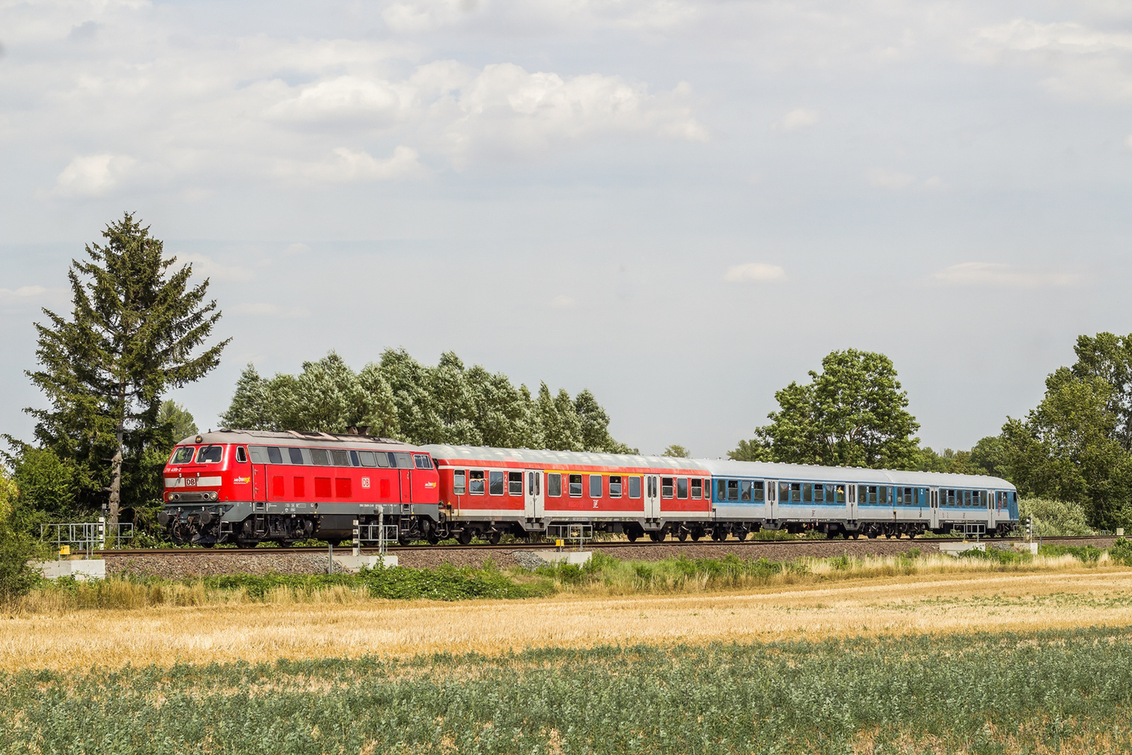 218 499 Groß Quenstedt (2022.08.04)