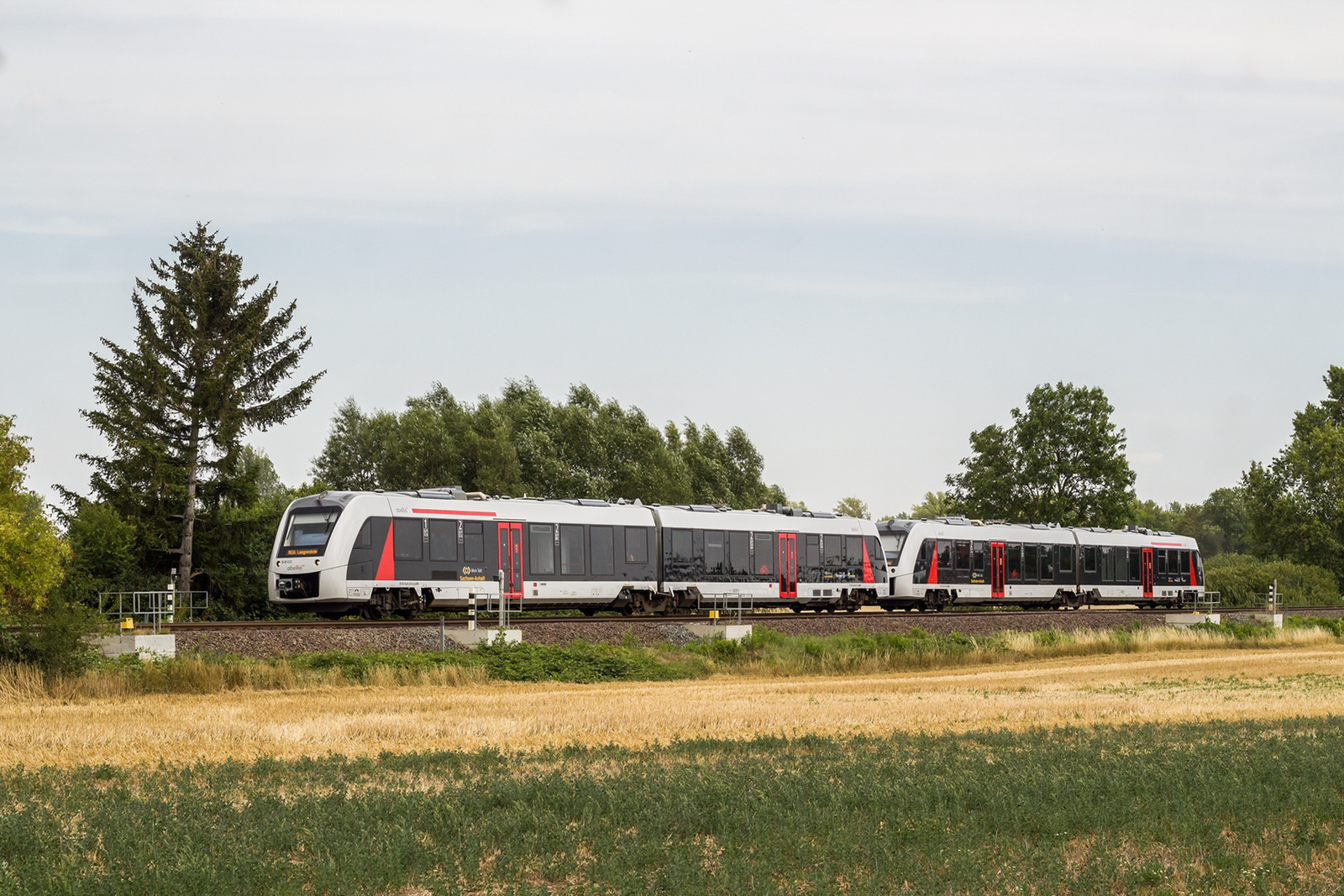 648 453 + 419 Groß Quenstedt (2022.08.04)