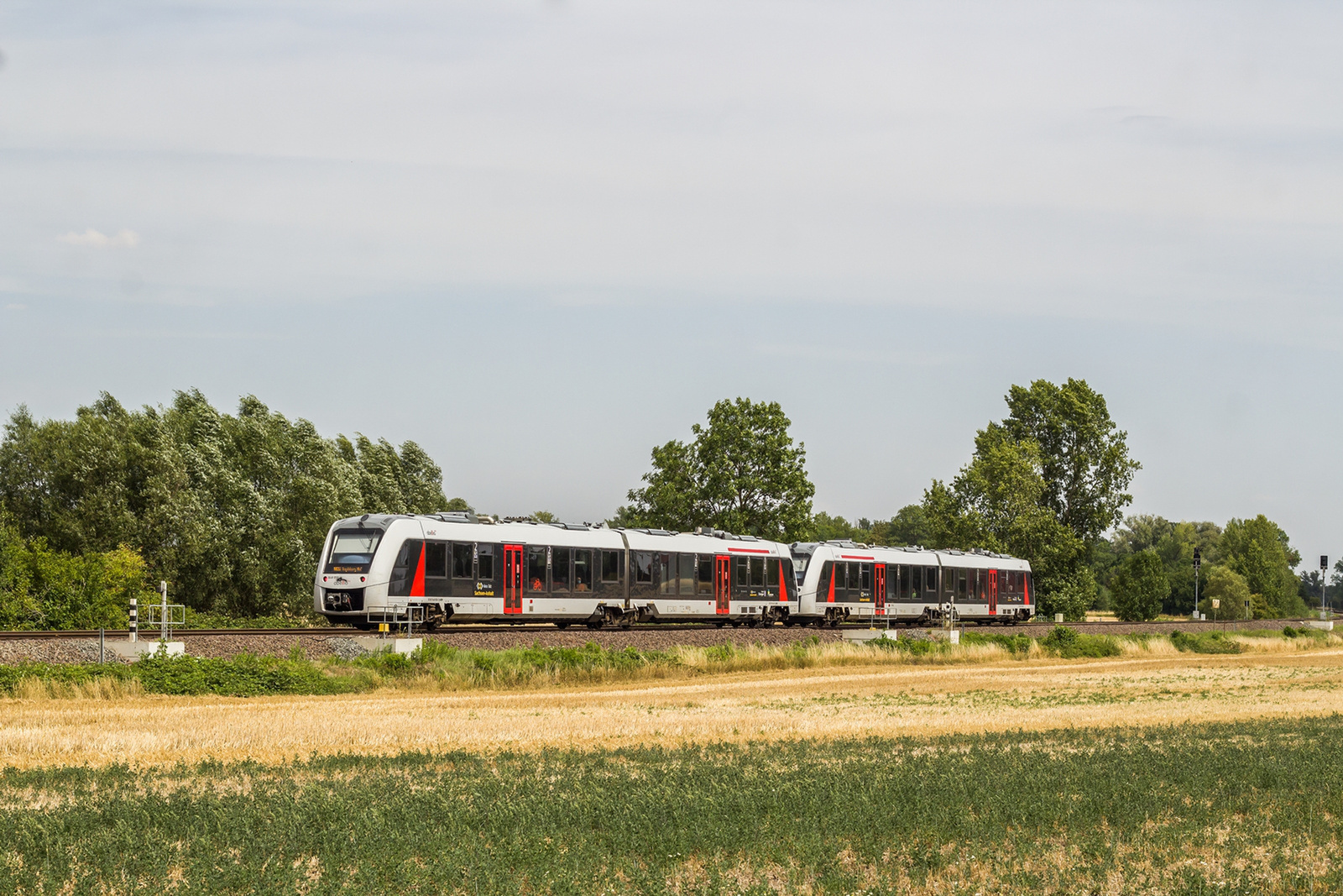 648 409+450 Groß Quenstedt (2022.08.04)