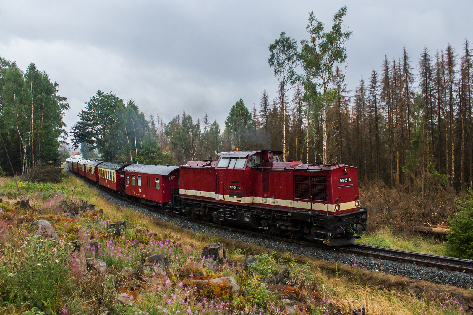 199 861 Schierke (2022.08.05).