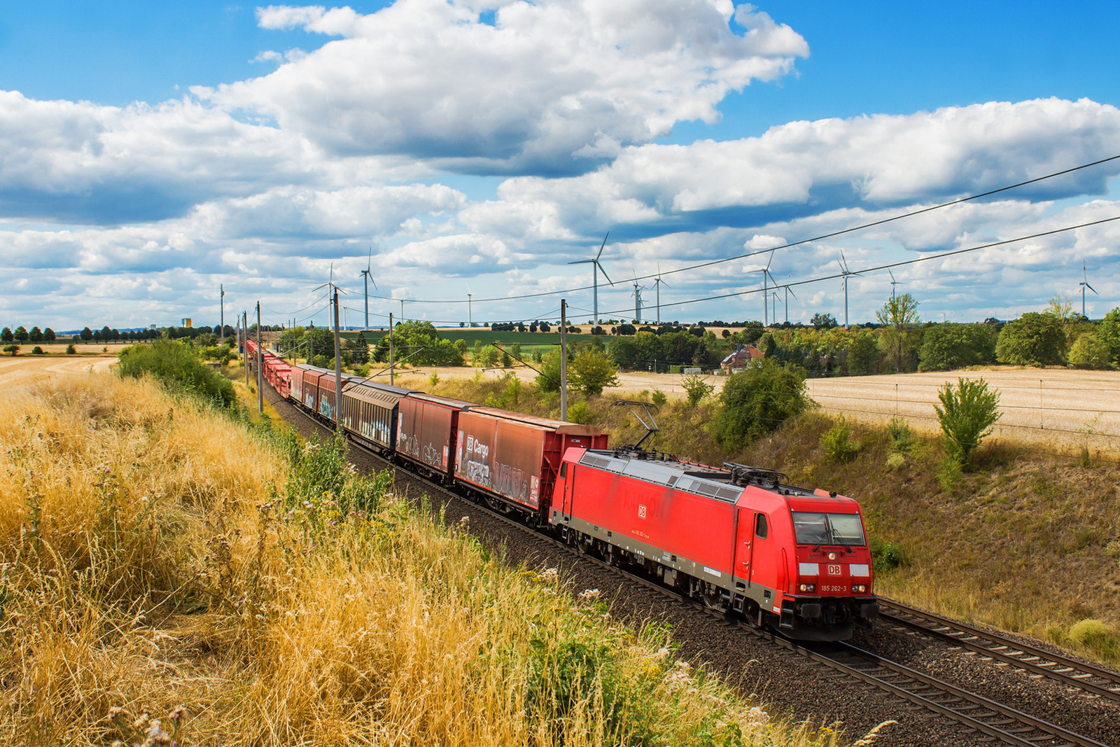 185 262 Ovelgünne (2022.08.06).