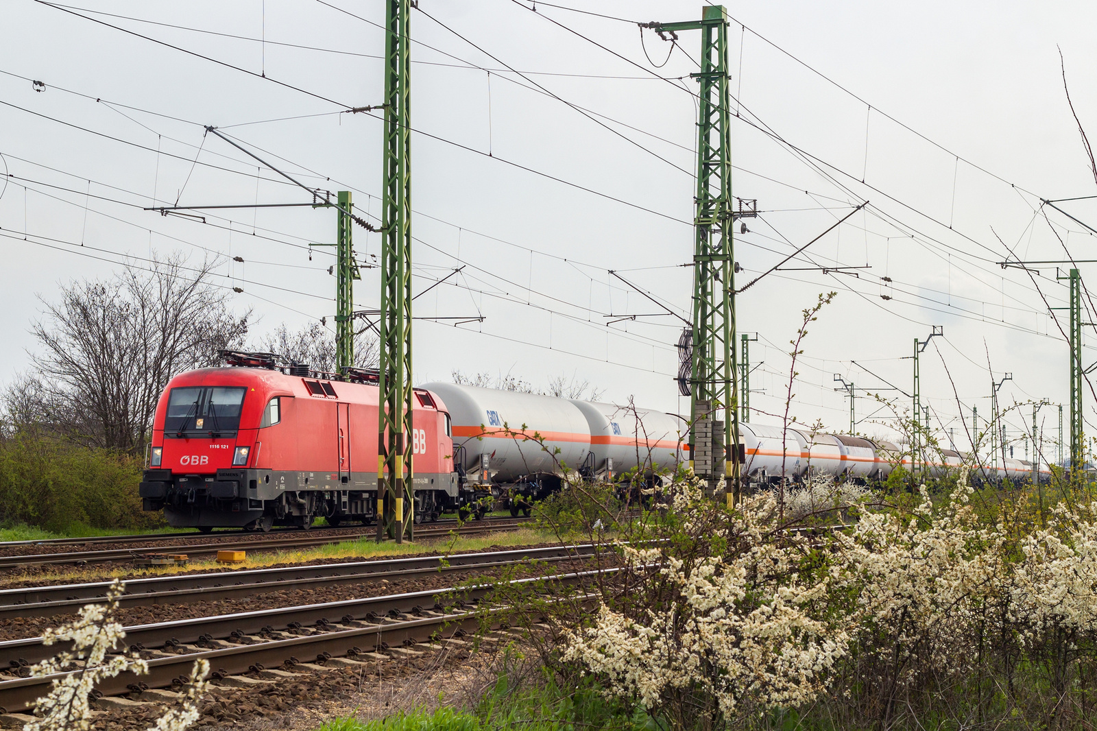 1116 121 Szajol (2023.04.10)01