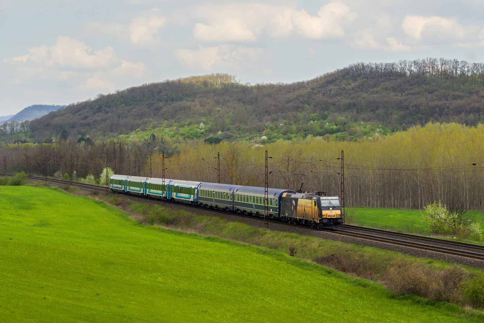 480 005 Szárliget (2023.04.22).