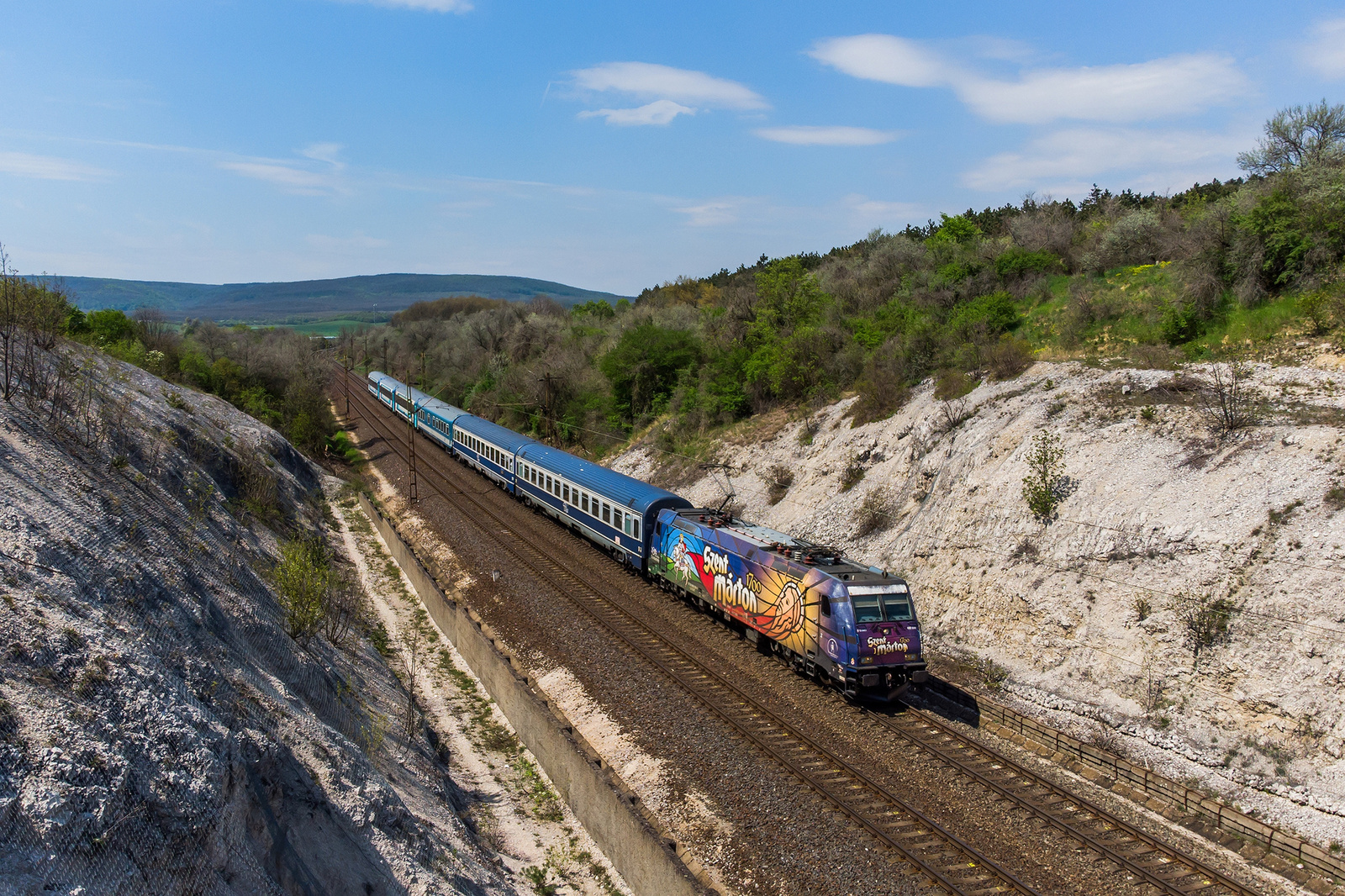 480 006 Szár (2023.04.23).