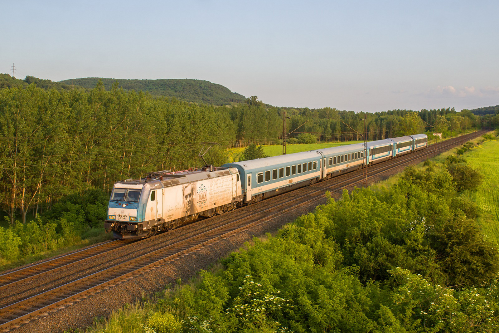 480 022 Szárliget (2023.05.28).02