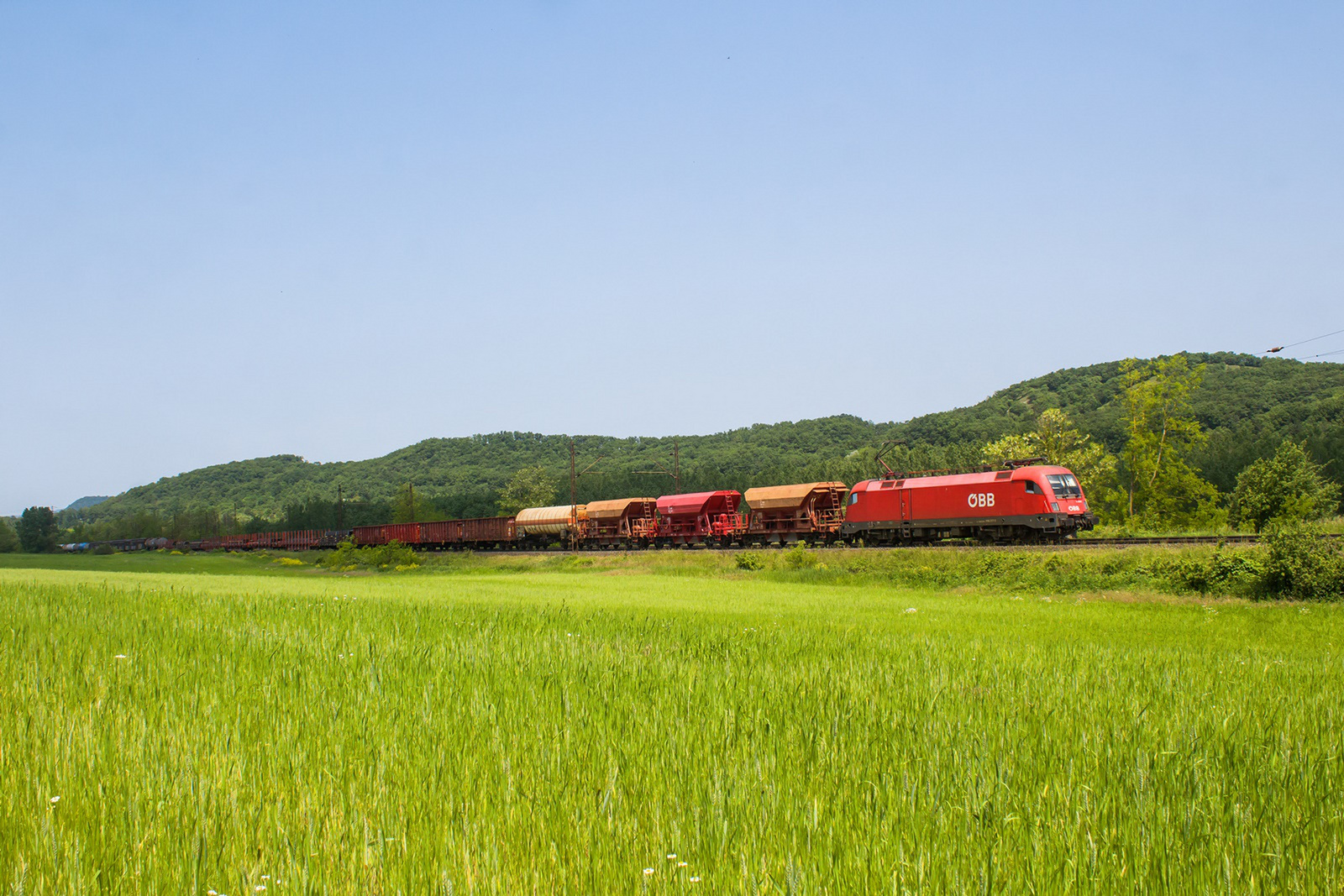 1116 017 Szárliget (2023.05.28).