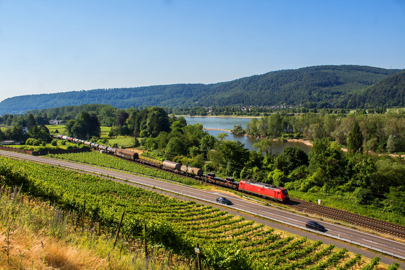 185 267 Leutesdorf (2023.06.11).