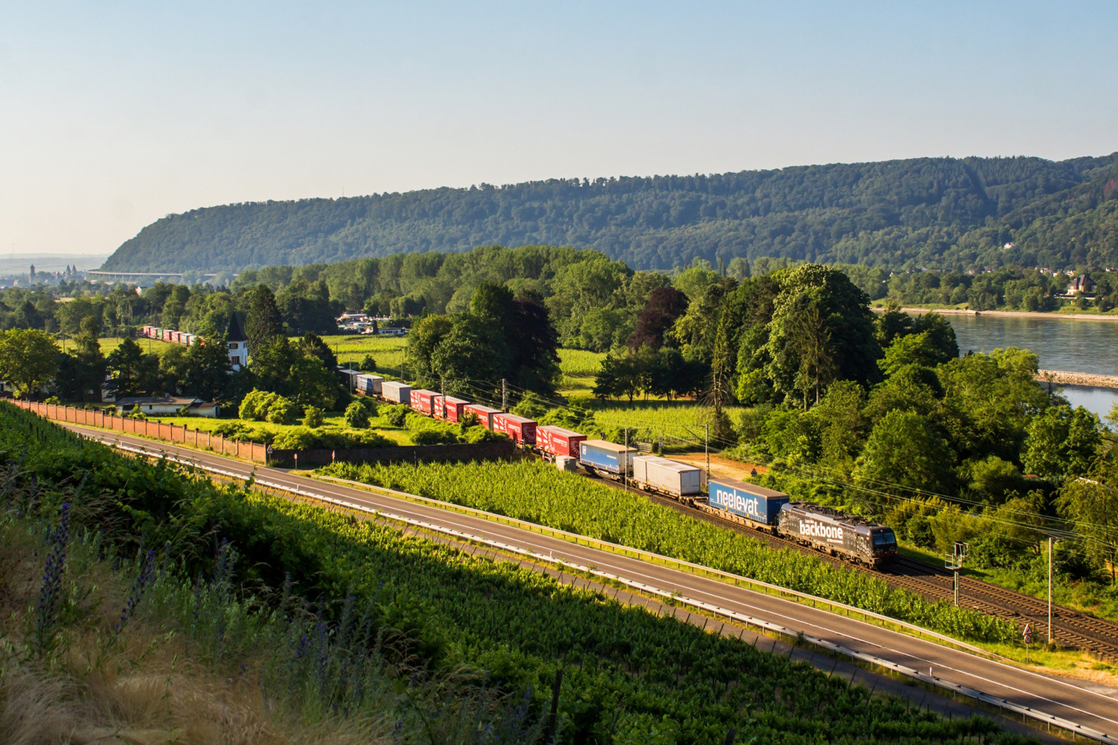 193 318 Leutesdorf (2023.06.11).