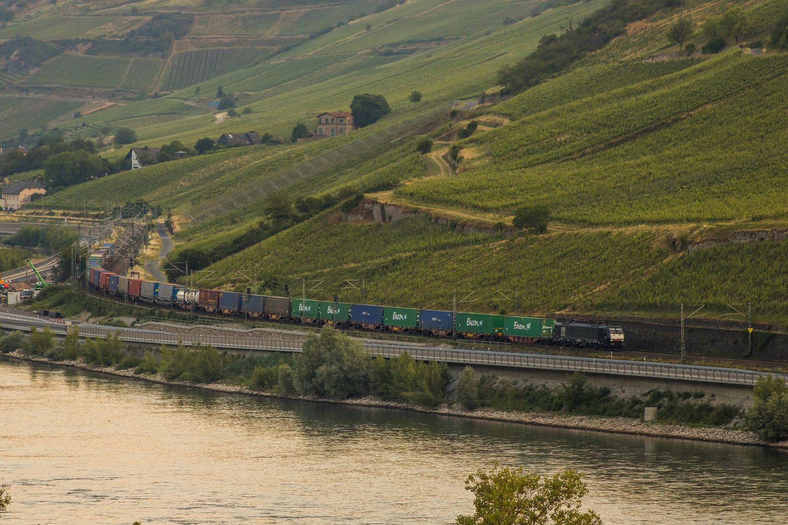 189 287 Trechtingshausen (2023.06.12)