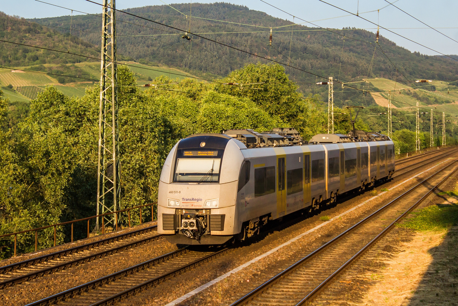 460 511 Niederheimbach (2023.06.12)