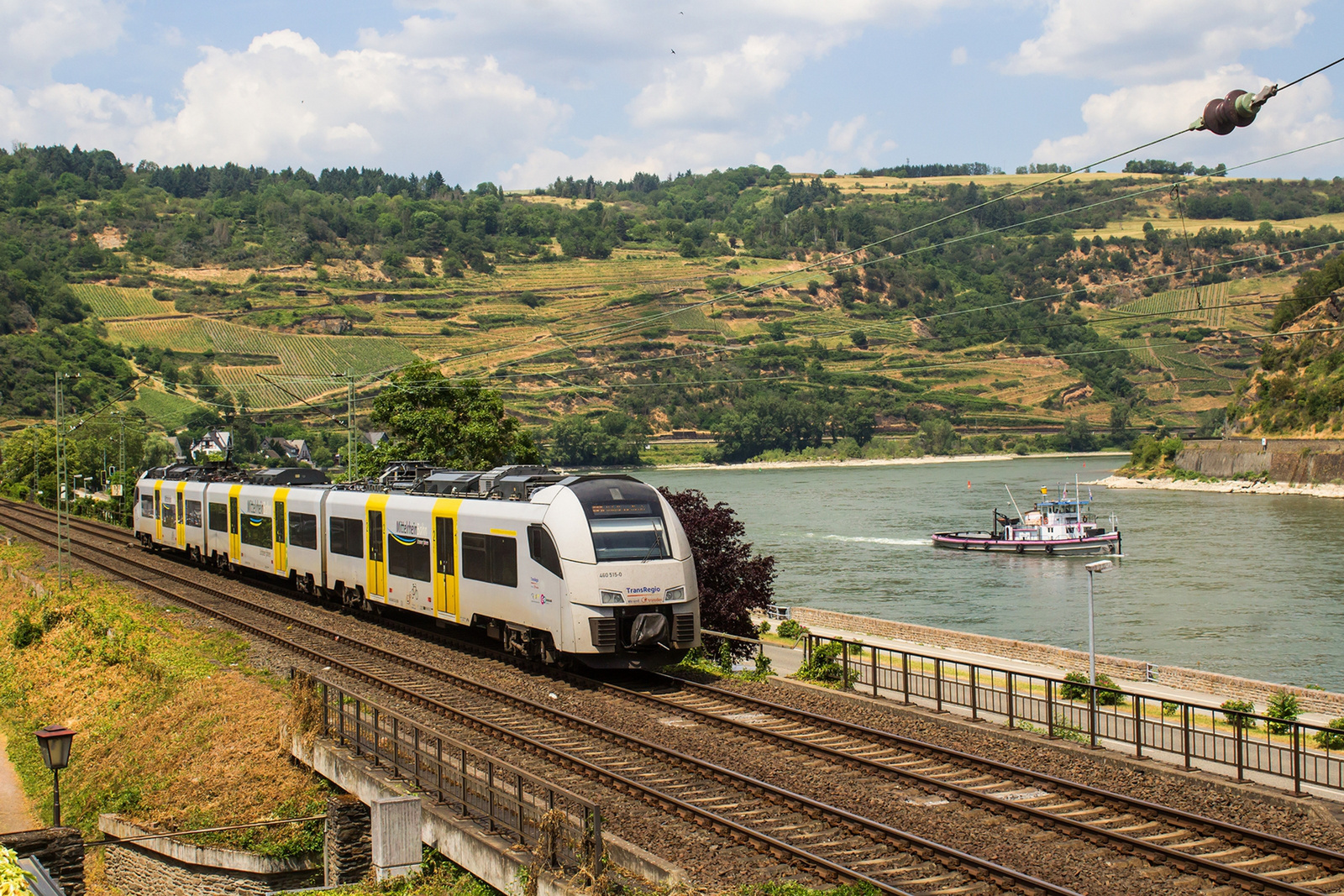 460 515 Oberwesel (2023.06.12)