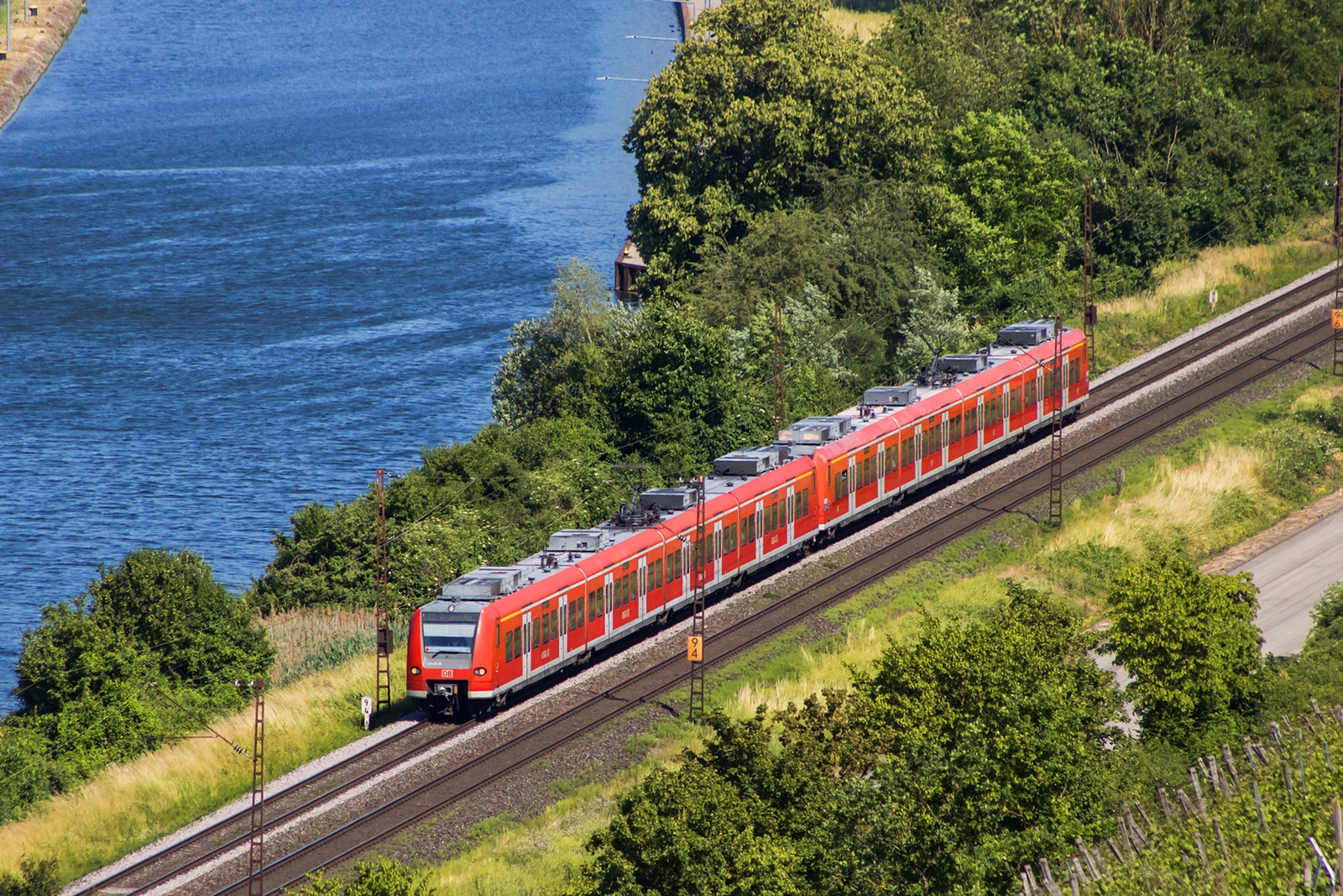 425 536 Veitshöchheim (2023.06.13)